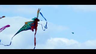 Zilker Kite Fest 2016 - The Human Circuit- Bigger Better Things