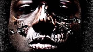 Ace Hood- Hallucination