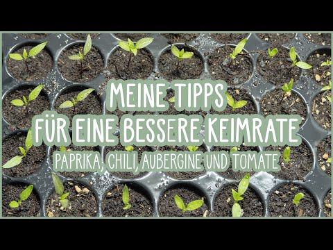 , title : '🍅🍆Schnelle Keimung und top Keimrate 🌱 Aussaat Tipps für Paprika, Chili, Auberginen, Tomaten 👍'