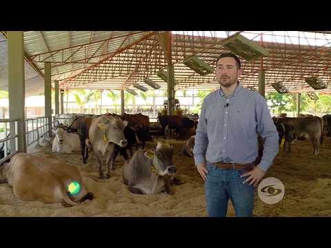 , title : 'Importancia de la ventilación en establos de producción lechera en trópico bajo'