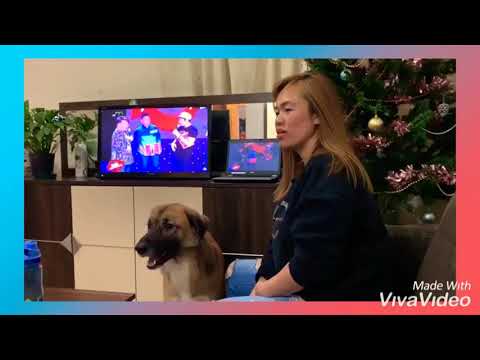 Pranking Cb as invisible Dog 😂