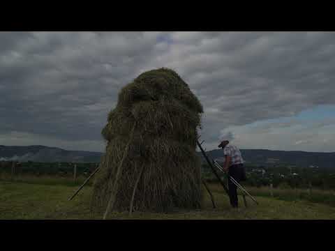 Plai. A Mountain Path Trailer - Sheffield DocFest 2022