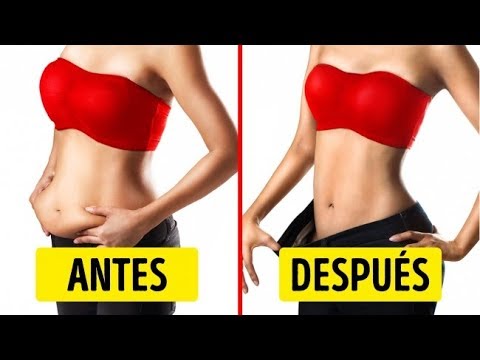 Qué Le Pasará A Tu Cuerpo Si Empiezas a Comer Jengibre A Diario