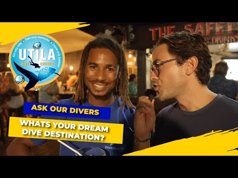 What’s Your Dream Dive Destination? 🌍 | Diver Q&A at UTILA DIVE CENTER