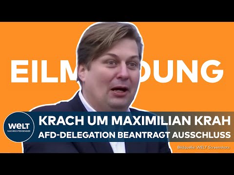 Video Thumbnail: MAXIMILIAN KRAH: AfD-Delegation im Europaparlament beantragt Fraktionsausschluss | EILMELDUNG