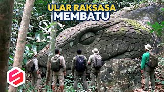 Download lagu 8 Penemuan Ular Raksasa yang Jadi Batu dan Bikin Geger Dunia mp3