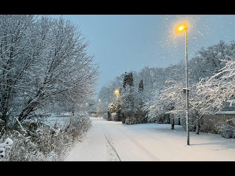City Evening Walk Live ! Stockholm Walk with me