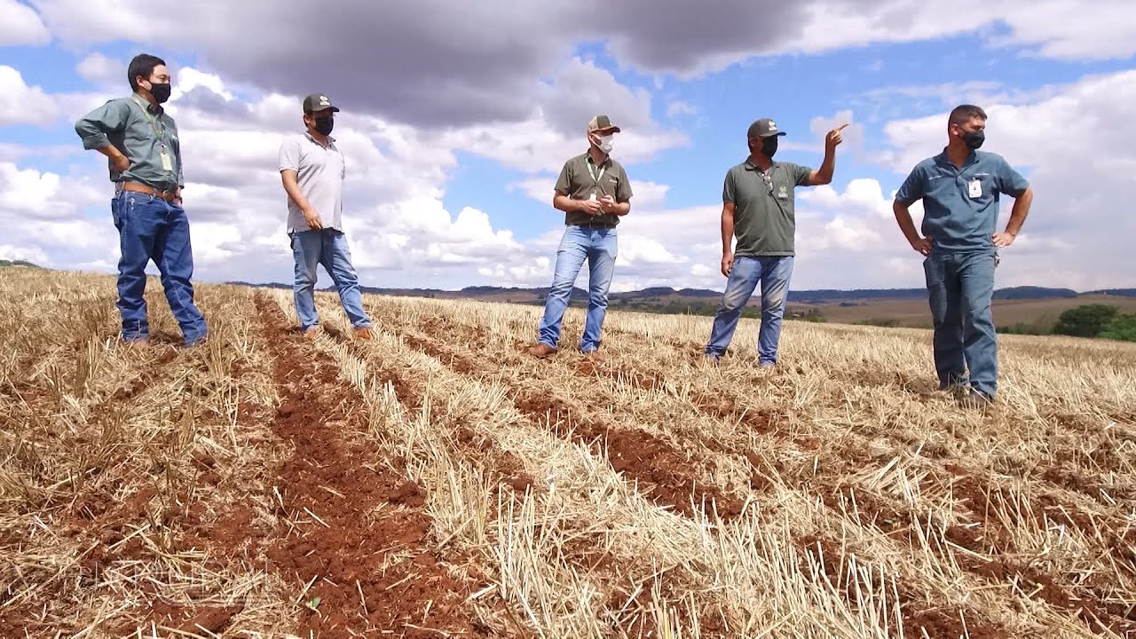 Beneficiamento de grãos e tratamento de sementes de soja | RALLY DA PRODUTIVIDADE