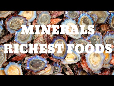 , title : 'FOODS RICH IN MINERALS'