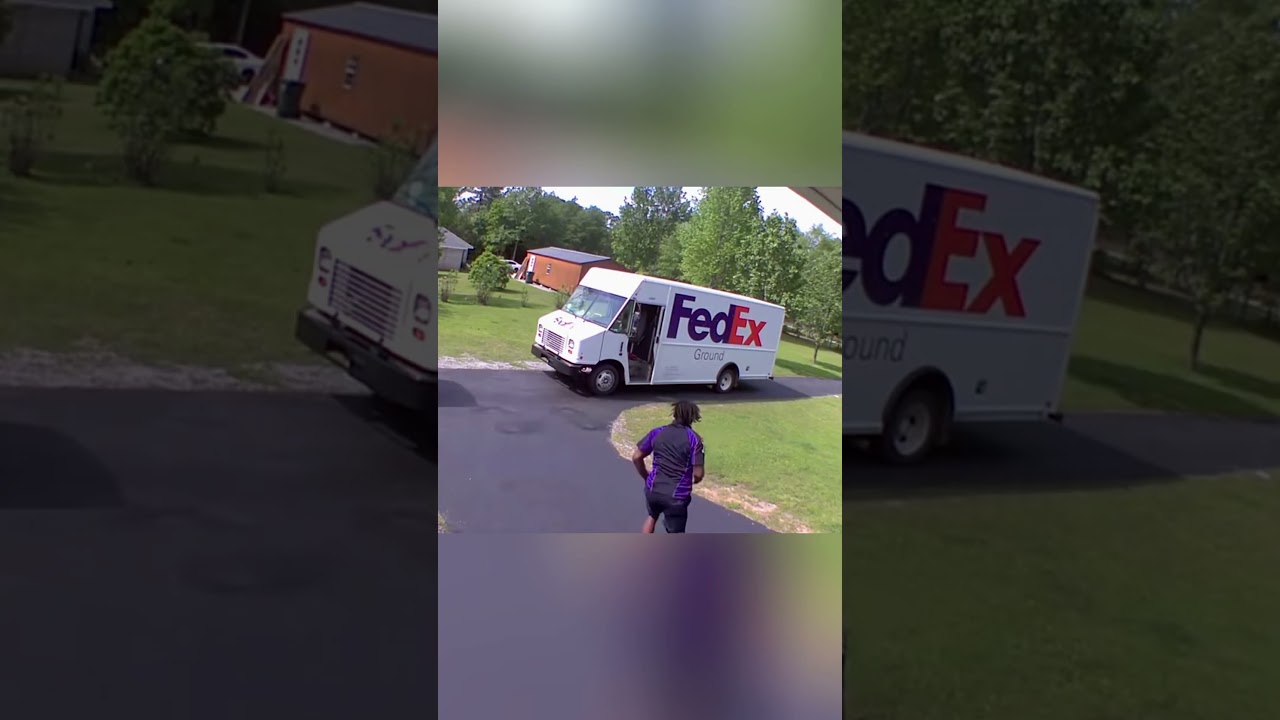 Dog vs Mailman 🤣🐕 #funnydog #funnypet #cutedog #dog #pets #short