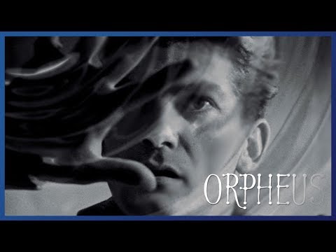 Трейлеры Орфей