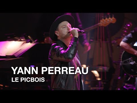 Beau Dommage - Le picbois (Yann Perreau cover)