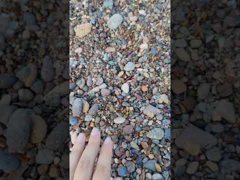 alla ricerca di vetrini, il rumore del mare è i gabbiani che mi fanno compagnia