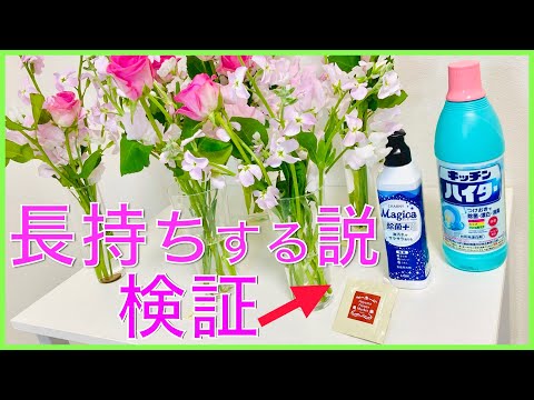 蘭の花を長持ちさせるための適切なケア  庭園