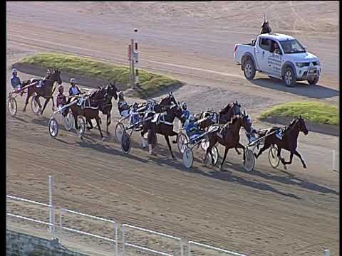 Trotto 20/06/2019 - 5ª corsa