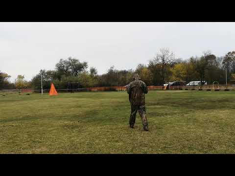 Pezoniak B' Venom IGP 2 C - 92 pont