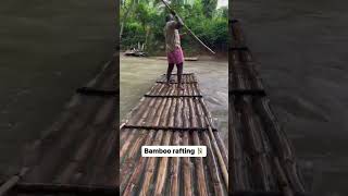 Would you try bamboo rafting in Jamaica? 🇯🇲