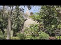 Maha Bodhi Lokashanti Buddha Vihar Bengaluru