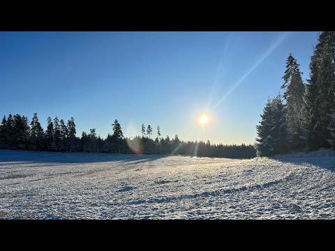 Exciting winter walk in Snow, Ås, Norway 🇳🇴