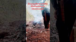 Download lagu dikebon #viralvideo #kunfayakun #yukberdoa #asmrindonesia #doamustajab mp3