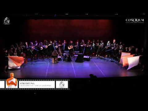 XX Concilium (Transmitido em direto)