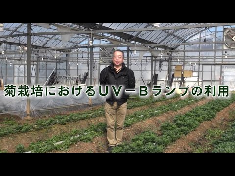 園芸 持続可能な農業