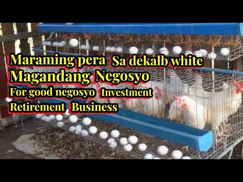 , title : 'MARAMING PERA SA DEKALB WHITE MAGANDANG NEGOSYO | FOR GOOD BUSINESS , INVESTMENT'