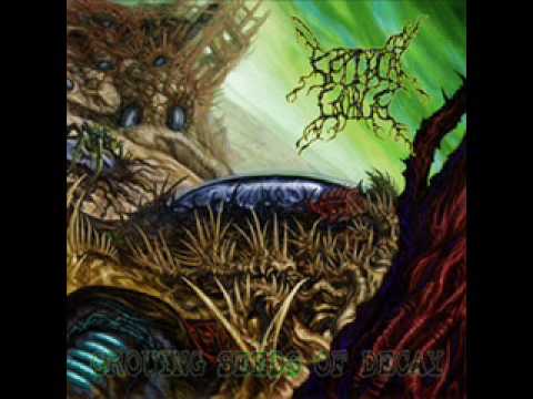Septycal Gorge - Poisoned Human Flesh
