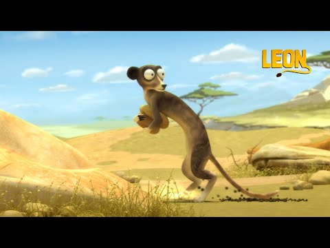 Busted| Leon the Lion | 20' Compilation | Crazy animals