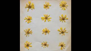 The Molochs - Too lost in love