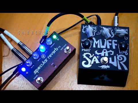 Deep Trip MUFFASAUR meets GFI System SPECULAR REVERB