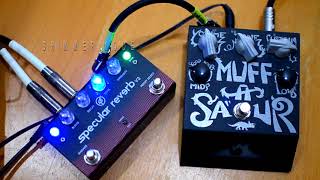 Video thumbnail for Deep Trip MUFFASAUR meets GFI System SPECULAR REVERB by Brett Kingman