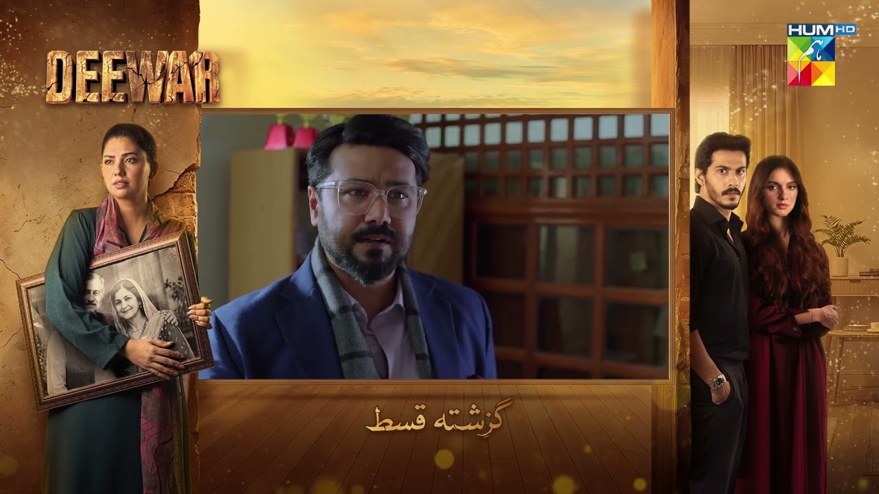 Deewar - Recap Episode 19 - [ Sunita Marshall & Ali Abbas ] HUM TV