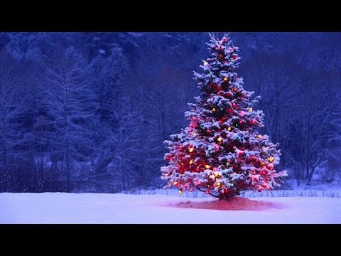 Rockin' Around The Christmas Tree (TRAP REMIX)