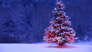 Rockin&#39; Around The Christmas Tree (Trap Remix)