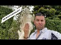 Miami South Beach 2022 Vizcaya Mansion Museum The Clevelander