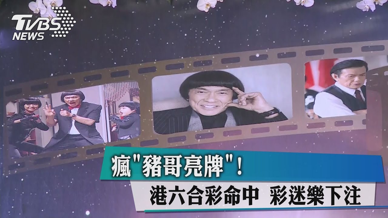 瘋「豬哥亮牌」!港六合彩命中 彩迷樂下注