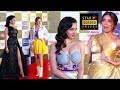 Bollywood Actress Stylish And Exy Looks At Red Carpet Of Star Screen Awards 2019