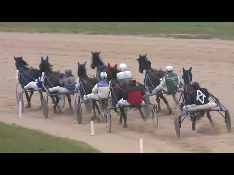 2022.10.29. 12. futam - PLATINA HENDIKEP