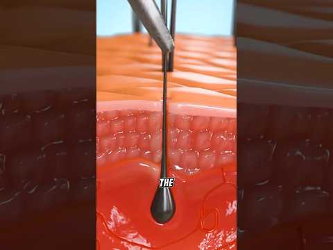 Why Hair Plucking is a No-Go: Reasons and Risks #shorts #hair #plucking #risk #anatomy