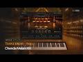 Video 2: Chenda Melam Kit