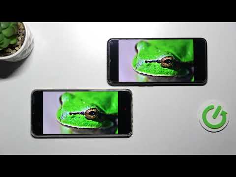 Oppo A16 vs Oppo A15s - Display Comparison | 150$ Device Screen TEST Comparison