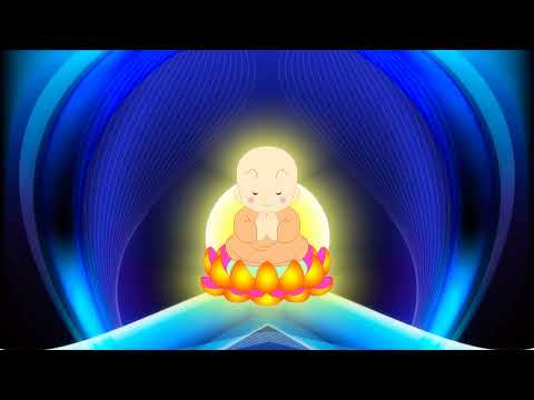 Thầy Chân Hiếu - Niệm Phật 4 Chữ - 0.8 giây - Ngày 7 tháng 8 năm 2022