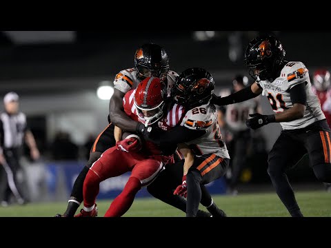 Calgary Stampeders 23 - Lions 52