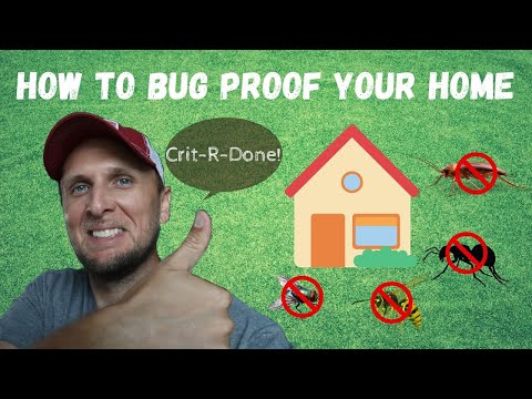 2nd YouTube video about how are bugs getting in my house