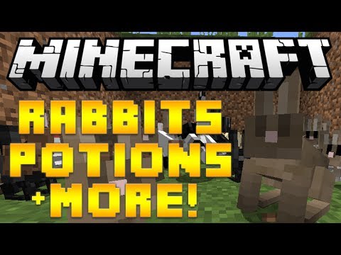 Insane Minecraft Update: New Rabbits, Potions & Mutton!