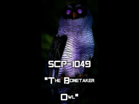 SCP-1049 "The Bonetaker Owl"