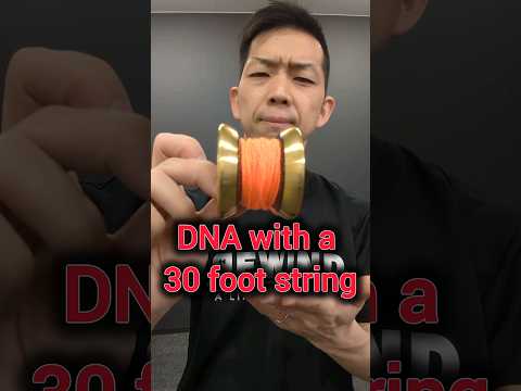 [Impossible yo-yo trick] “Do DNA with 30 foot string” #yoyo #dna #shorts