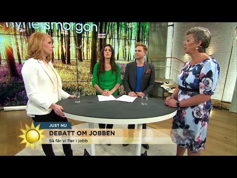 "Regeringen verkar sakna krisinsikt" - Nyhetsmorgon (TV4)