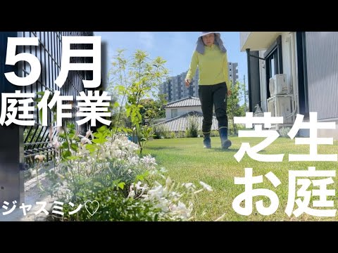 園芸 ホワイト ジャスミン、公式ジャスミン